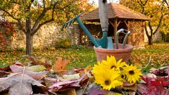 Príprava záhrady na zimu: čo je potrebné urobiť